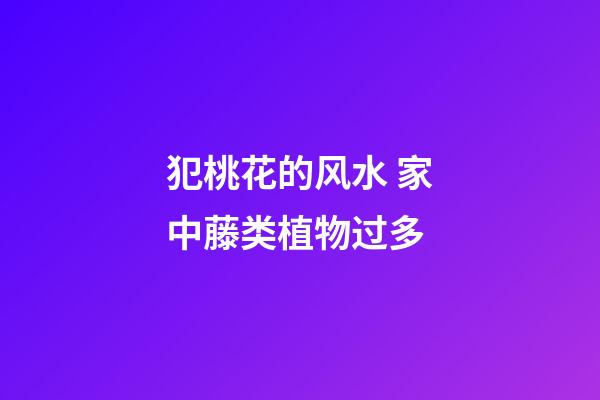 犯桃花的风水 家中藤类植物过多